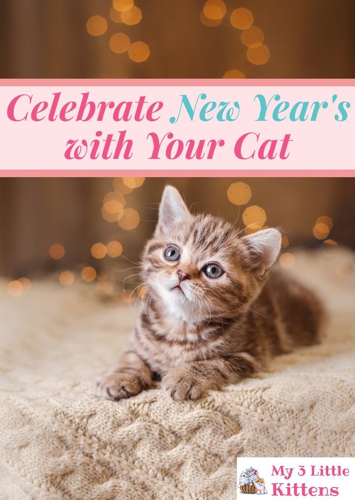 Celebrate New Year's With Your Cat. Cat lovers rejoice!