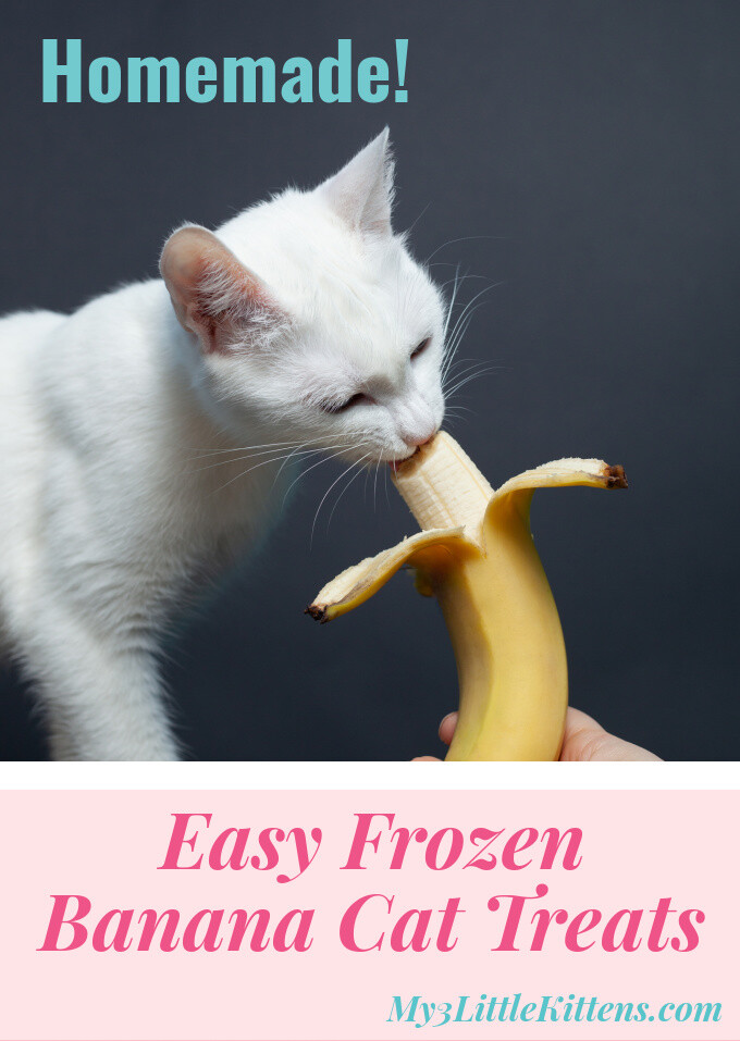 These Easy Frozen Banana Cat Treats are perfect for every kitty! Plus, you can got wrong with homemade!
