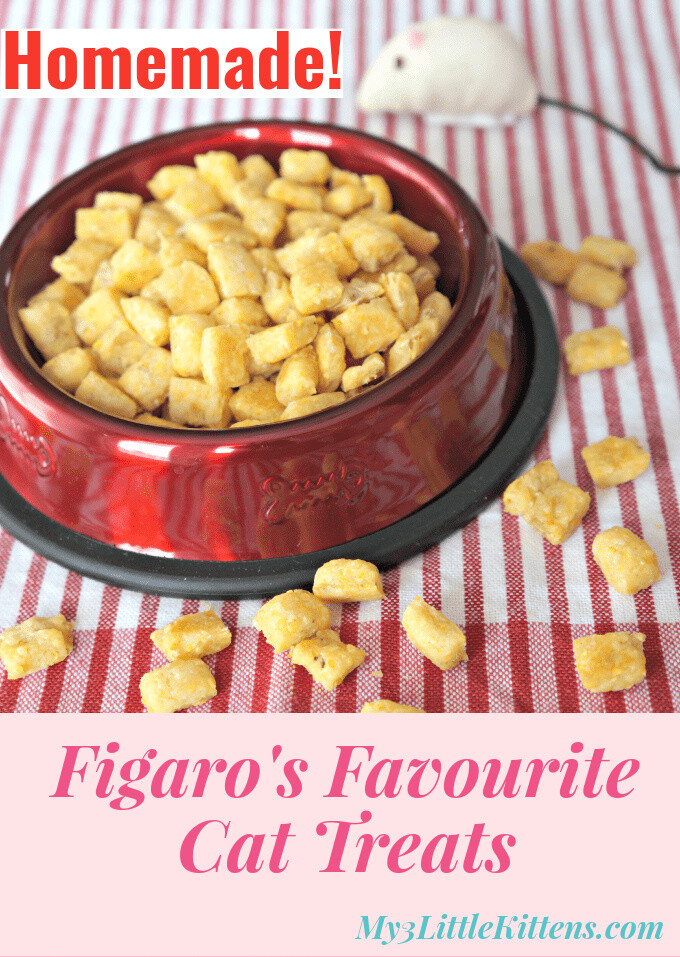 Figaro's Favourite Cat Treats are easy to make for your cat! Homemade treats your kitty will approve of!