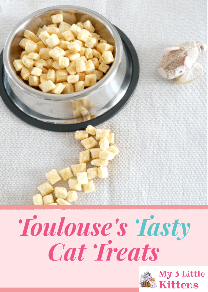 Toulouse's Tasty Cat Treats are Easy, Homemade and DIY. Your kitty will love this healthy recipe!