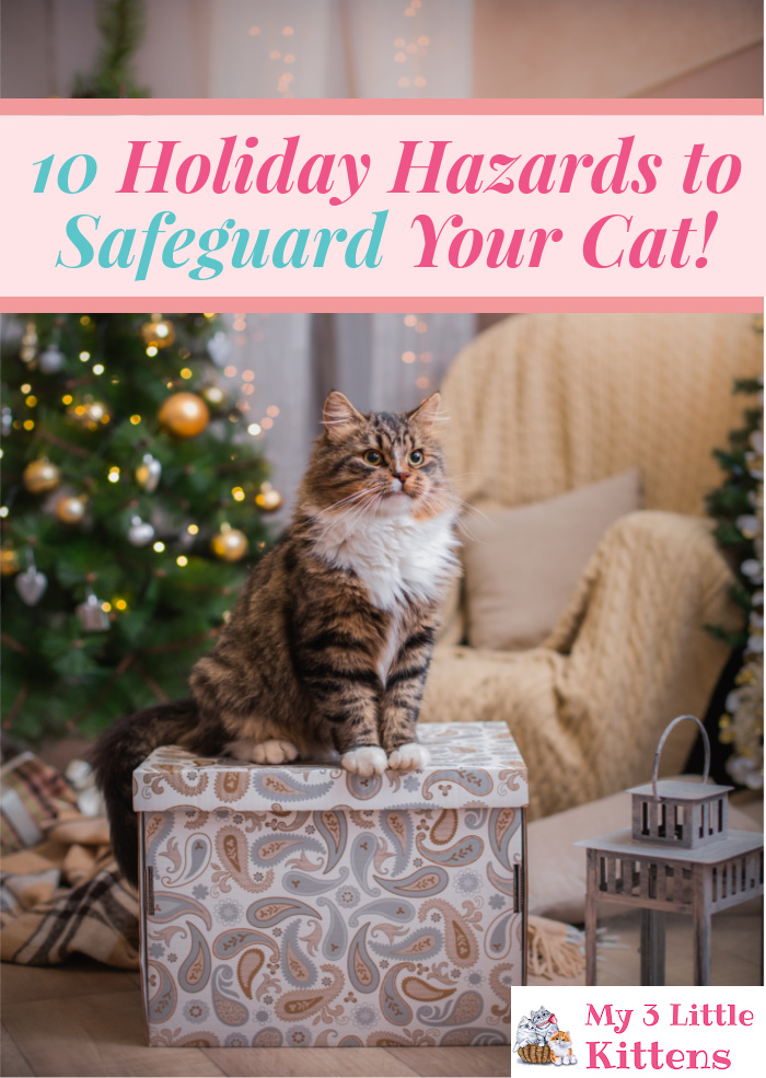 10 Holiday Hazards to Safeguard Your Cat This Christmas Season! Festive Feline Care!