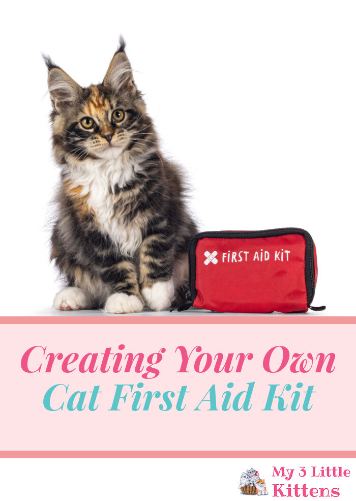 Creating Your Own Cat First Aid Kit - My 3 Little Kittens