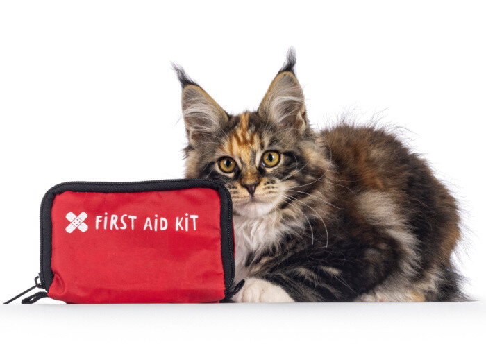 Create Your Own Cat First Aid Kit for your Kitty! Be prepared for anything with your feline friend!