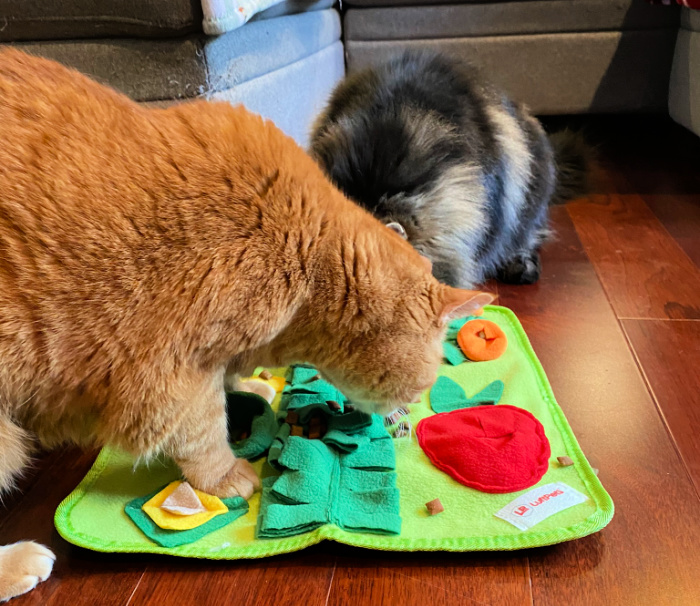 Why Your Cat Needs and Wants a Snuffle Mat from LuftPets.com