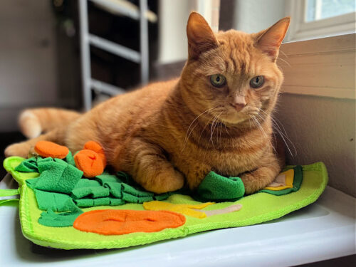 Why Your Cat Needs and Wants a Snuffle Mat from LuftPets.com