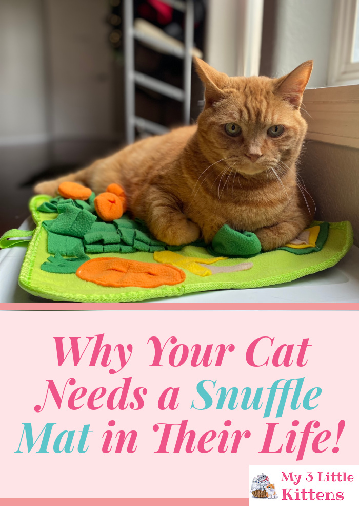 Why Your Cat Needs and Wants a Snuffle Mat from LuftPets.com